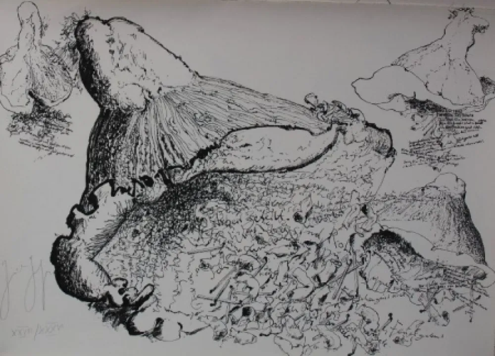 Lithograph Grass - Senza titolo