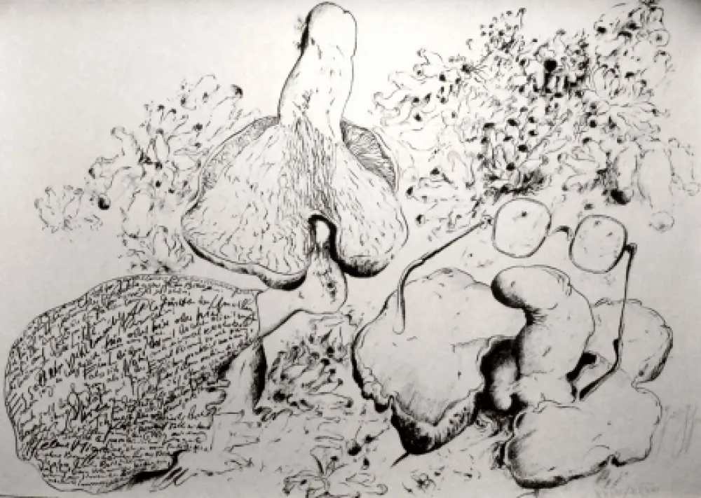 Lithograph Grass - Senza titolo