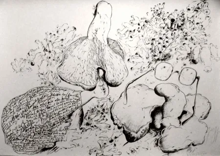 Lithograph Grass - Senza titolo