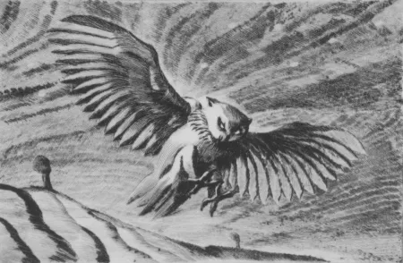 Drypoint Grasselli - Verso la notte