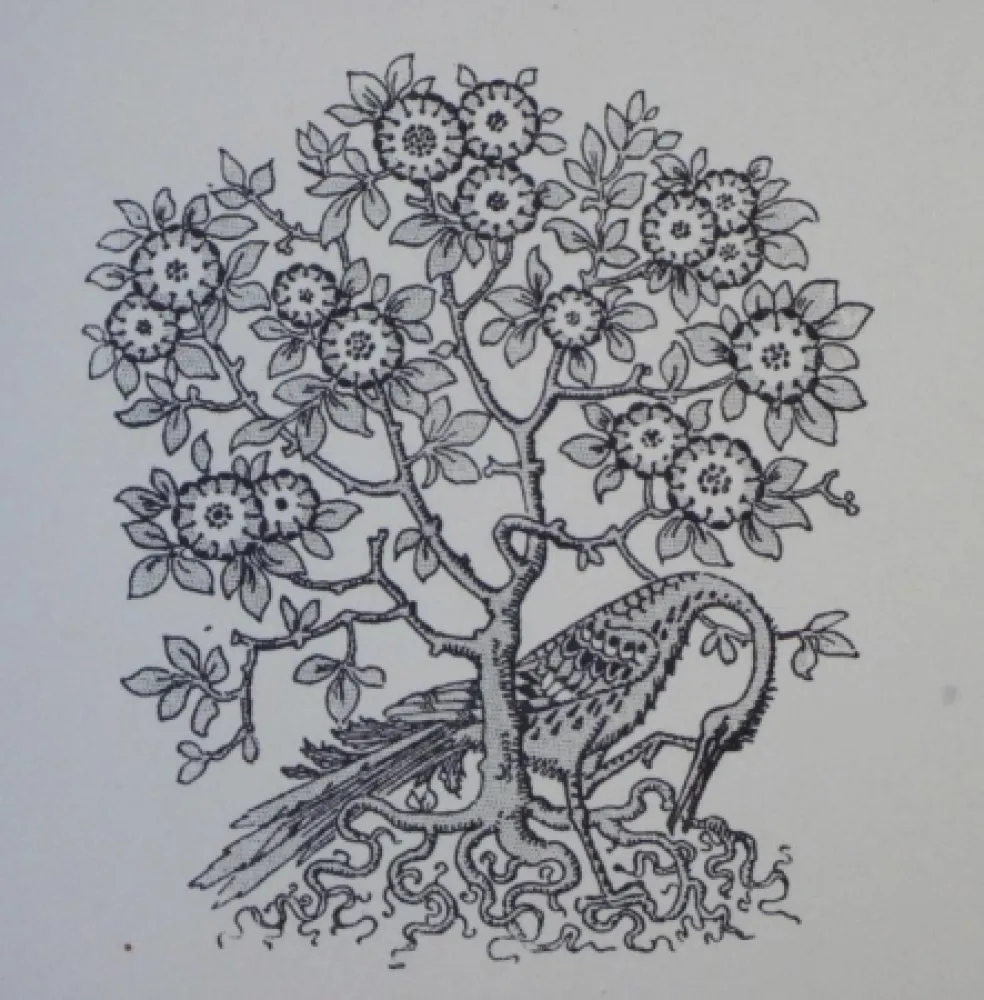 Woodcut Grasset - Ornements typographiques