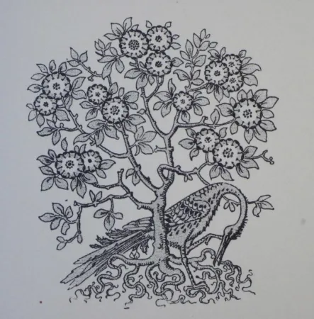 Woodcut Grasset - Ornements typographiques