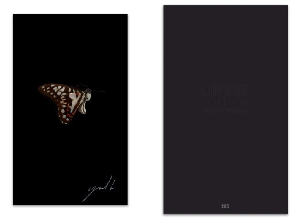 Illustrated Book Greaud - L'art en écrit