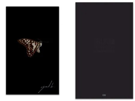 Illustrated Book Greaud - L'art en écrit