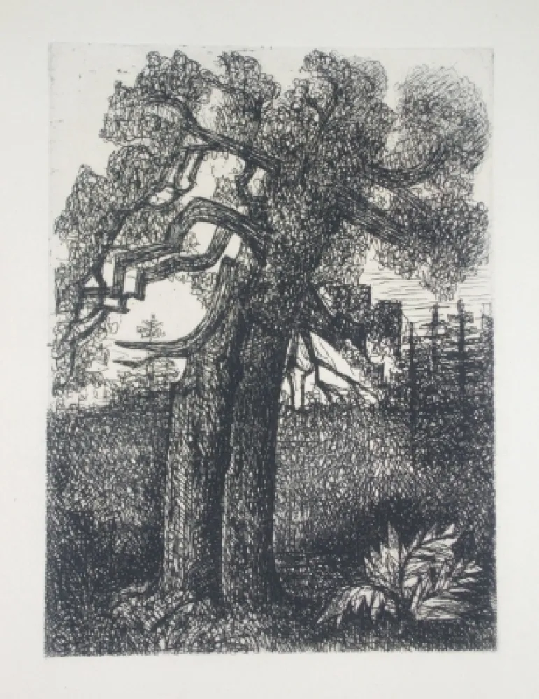 Drypoint Gromaire - Le chêne