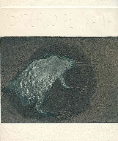 Illustrated Book Guarienti - Concerto per rane