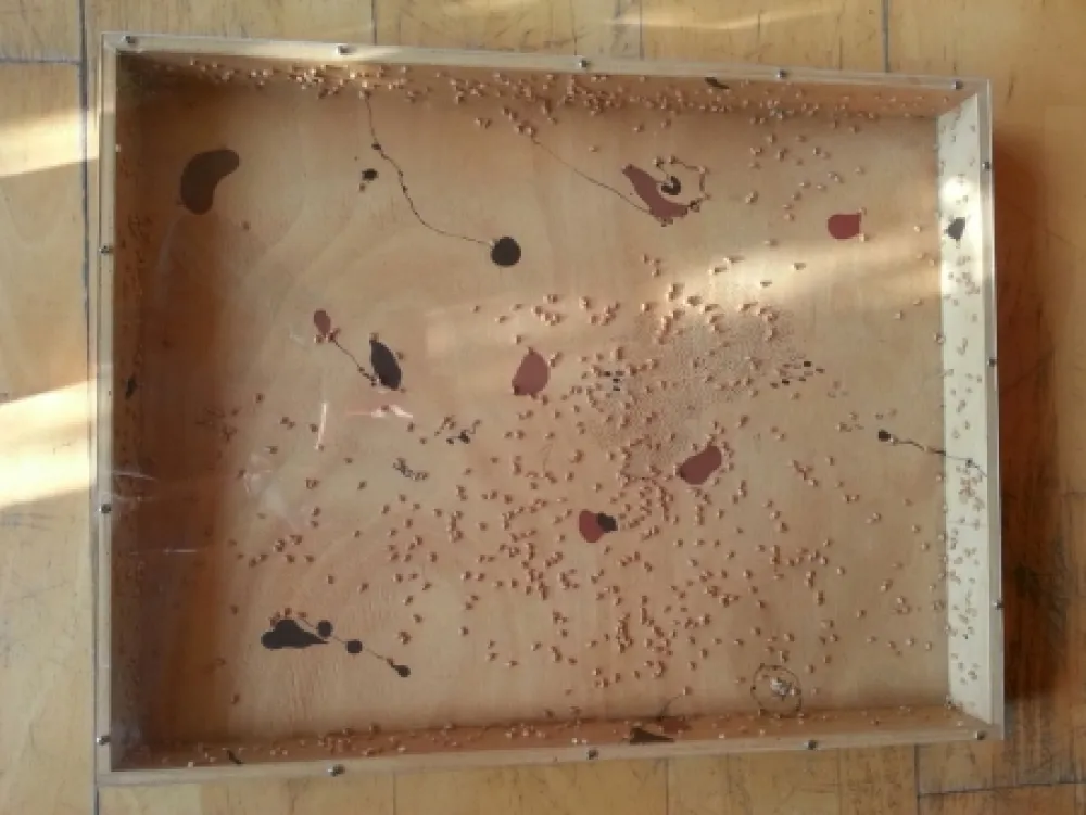 No Technical Guinovart - Blat i coses 8