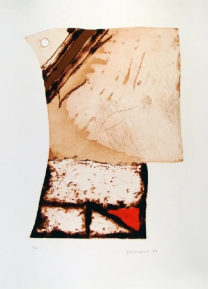 Engraving Guinovart - Imatges i Terra III