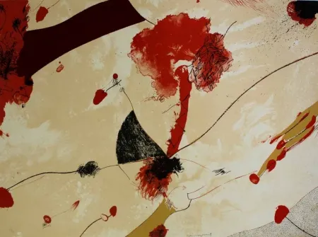 Lithograph Guinovart - Natu