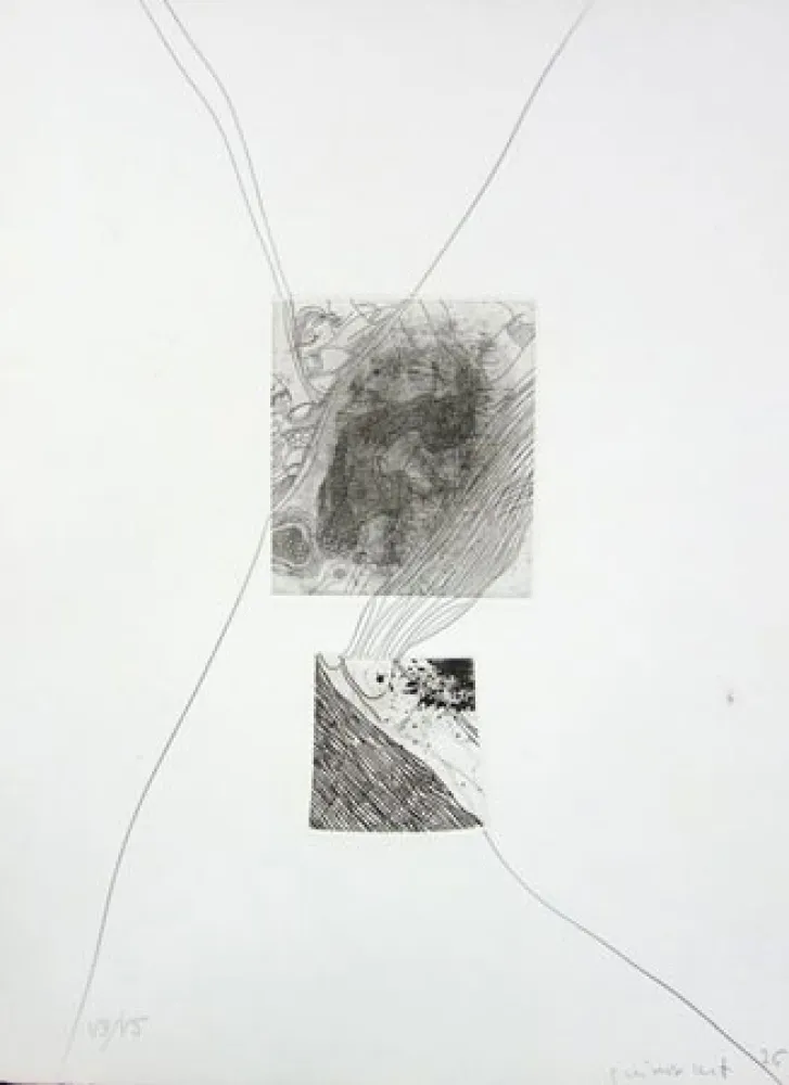 Engraving Guinovart - S/T