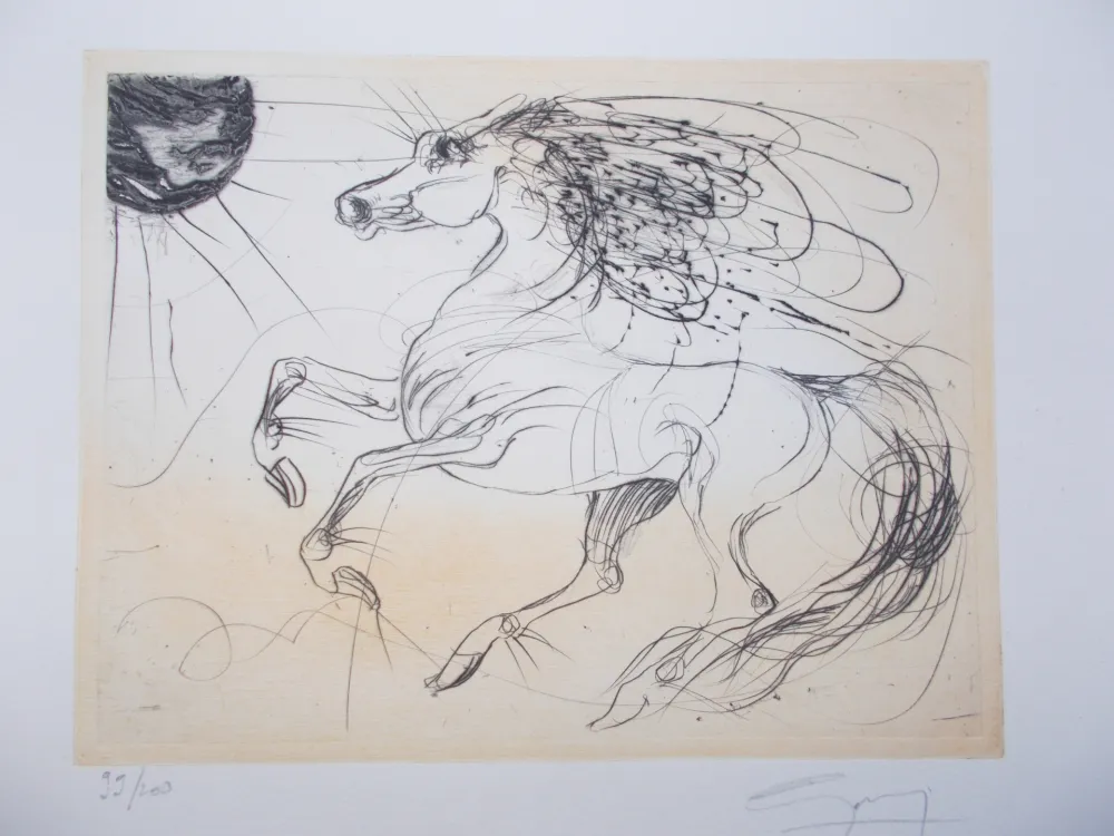 Etching Guiny - Rocus