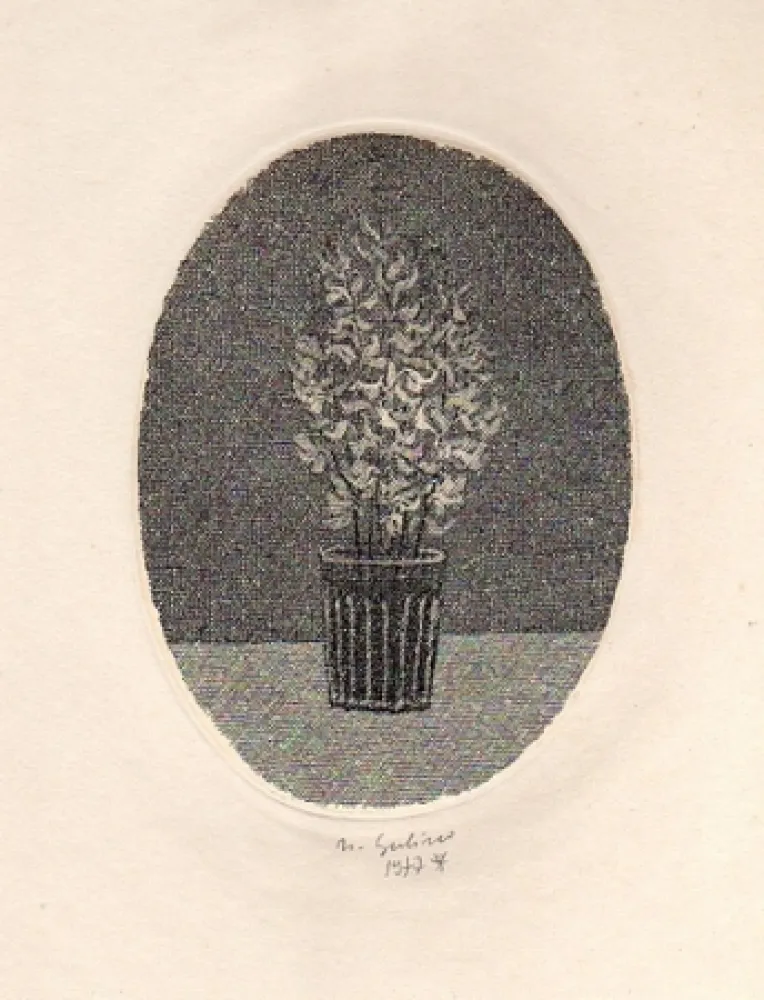 Illustrated Book Gulino - Canti