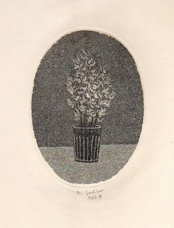 Illustrated Book Gulino - Canti