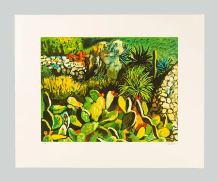 Etching And Aquatint Guttuso - Cactus