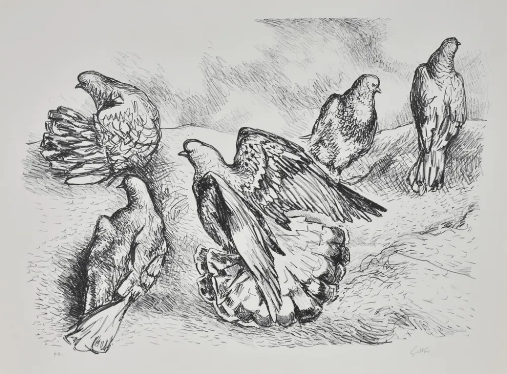 Lithograph Guttuso - Colombe