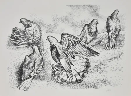 Lithograph Guttuso - Colombe