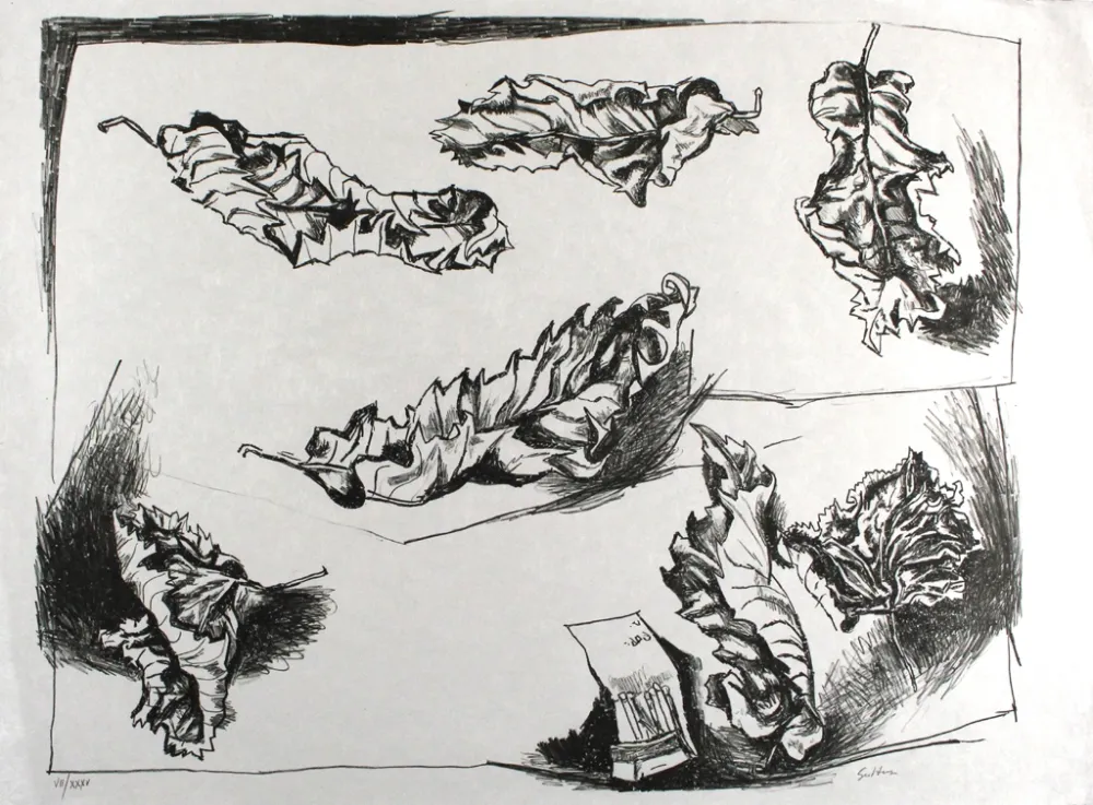 Lithograph Guttuso - Foglie