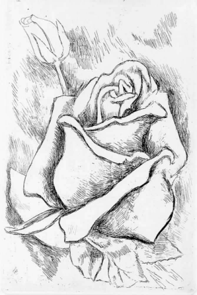 Illustrated Book Guttuso - Gli anni delle immagini perdute