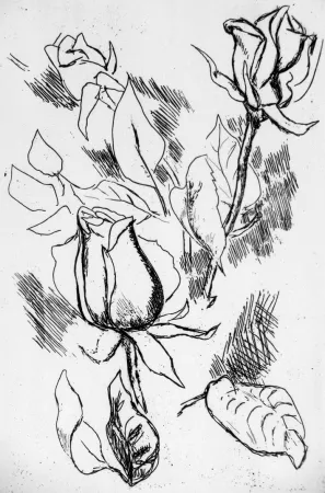 Engraving Guttuso - Rosa