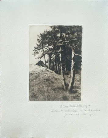 Drypoint Haasbauer-Wallrath - Untitled (Kiefern am Waldrand)