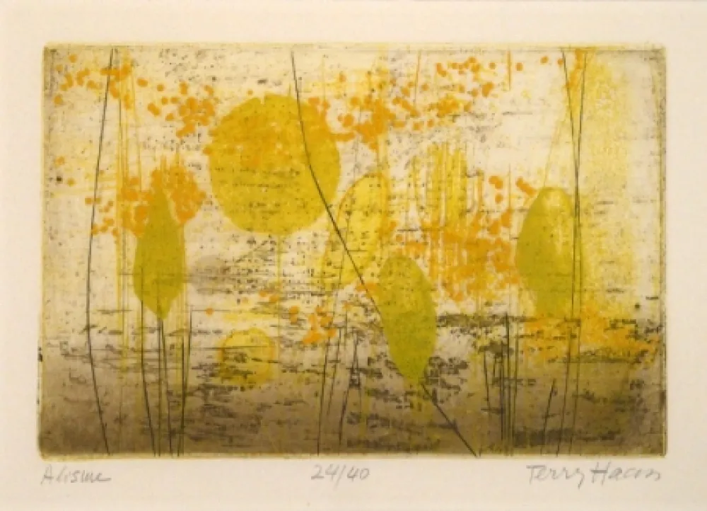 Etching Haass - Alisme