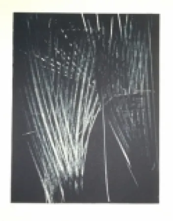 Lithograph Hartung - AL 5