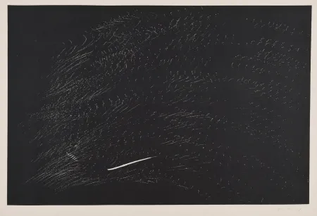 Lithograph Hartung - Composición