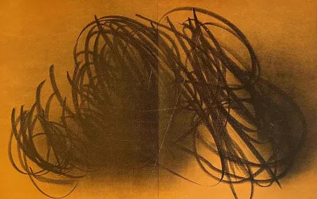 Lithograph Hartung - Farandole