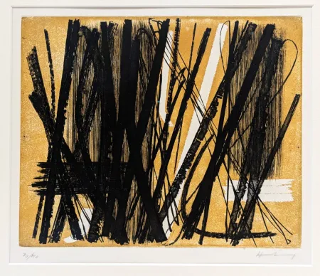 Etching And Aquatint Hartung - G5