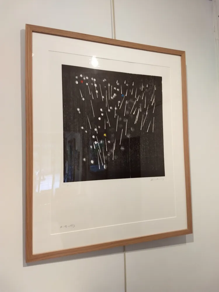 Lithograph Hartung - H13