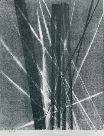 Lithograph Hartung - Hans Arp