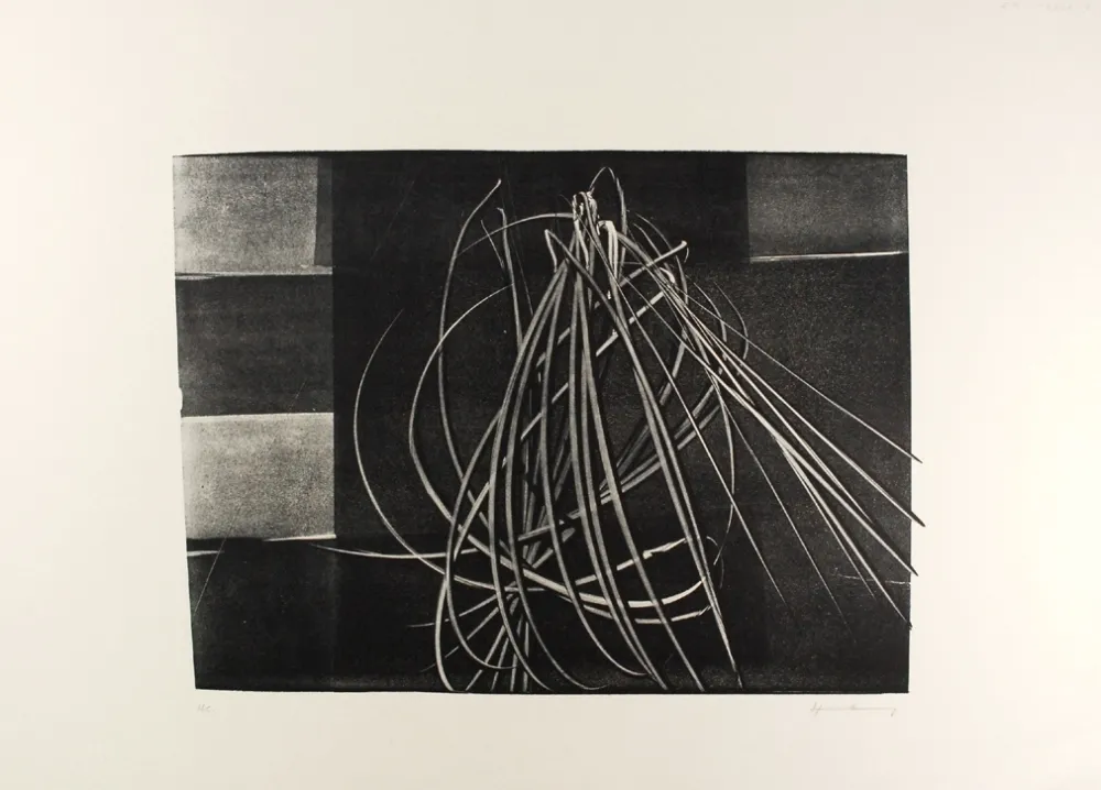 Lithograph Hartung - L-4-1976 