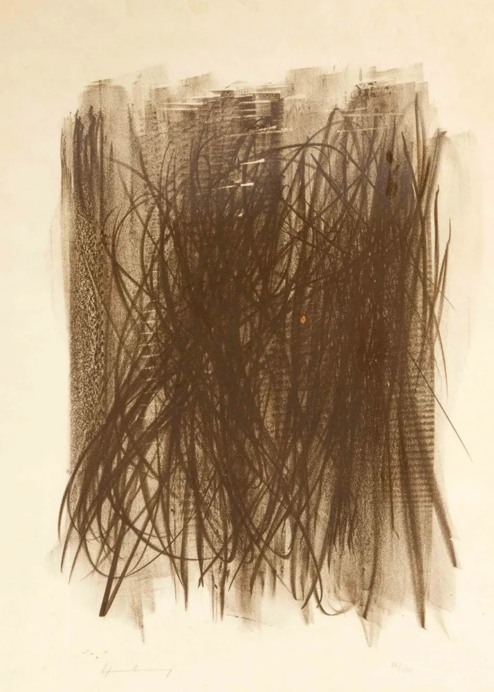 No Technical Hartung - L92