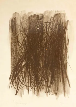 No Technical Hartung - L92