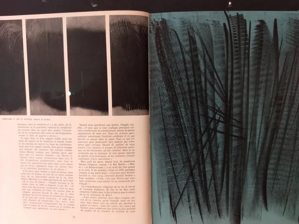 Illustrated Book Hartung - XXE No 24