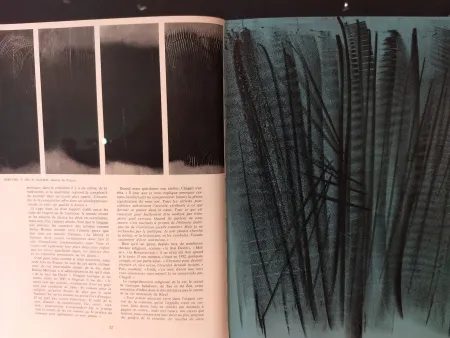 Illustrated Book Hartung - XXE No 24