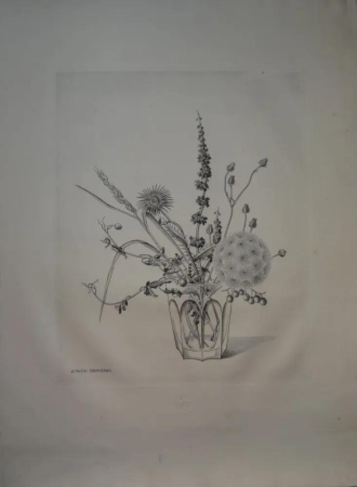 Drypoint Hasegawa - Fleurs d'automne