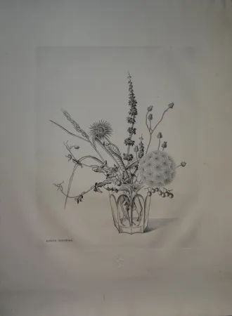 Drypoint Hasegawa - Fleurs d'automne