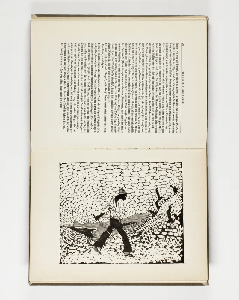 Illustrated Book Hasemann - Himmel und Hölle auf der Landstraße