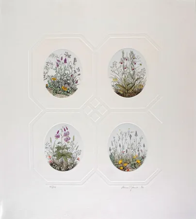 Engraving Hauck - Les Fleurs - Flowers