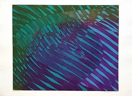 Etching Hayter - Albatros