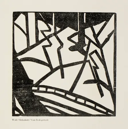 Woodcut Heemskerck,  - Sturm-Bilderbuch VII 