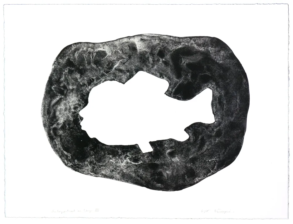 Lithograph Henin - Auportrait en carpe VIII