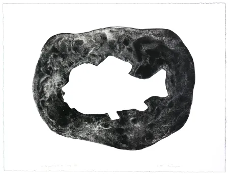 Lithograph Henin - Auportrait en carpe VIII