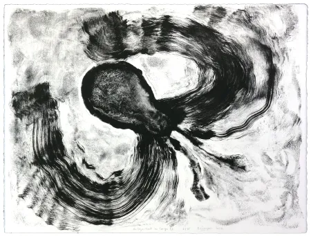 Lithograph Henin - Auportrait en carpe XI