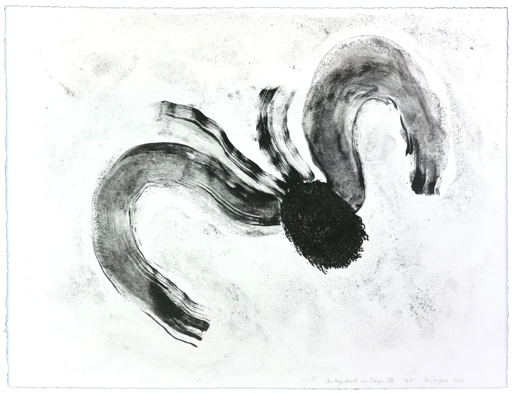 Lithograph Henin - Auportrait en carpe XII