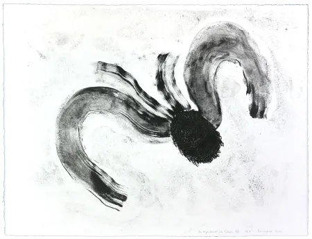 Lithograph Henin - Auportrait en carpe XII