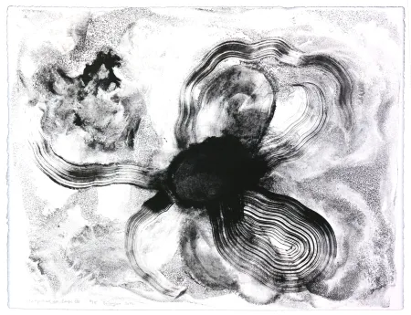 Lithograph Henin - Auportrait en carpe XIII