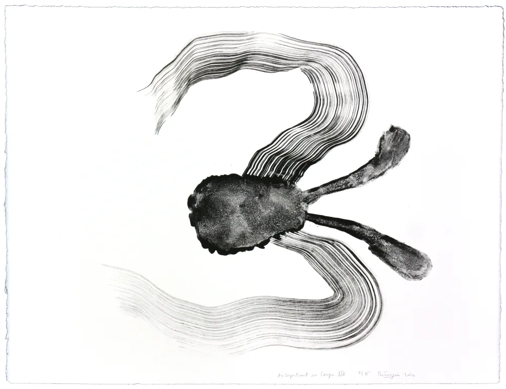 Lithograph Henin - Auportrait en carpe XIV