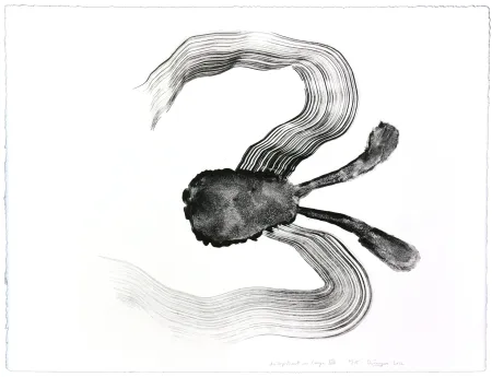 Lithograph Henin - Auportrait en carpe XIV